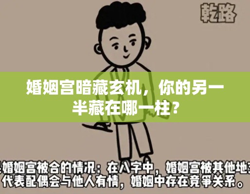 婚姻宫暗藏玄机，你的另一半藏在哪一柱？