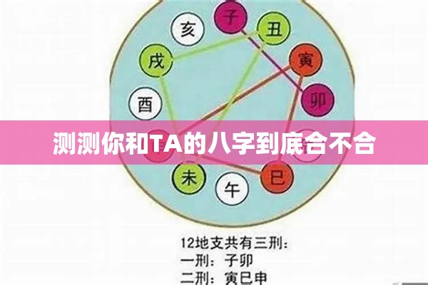 测测你和TA的八字到底合不合
