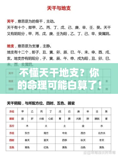 不懂天干地支？你的命理可能白算了！
