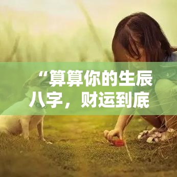 “算算你的生辰八字，财运到底旺不旺？”