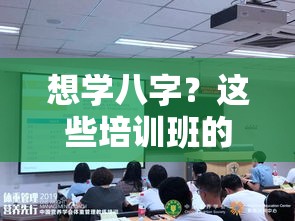 想学八字？这些培训班的真实体验帮你避坑！