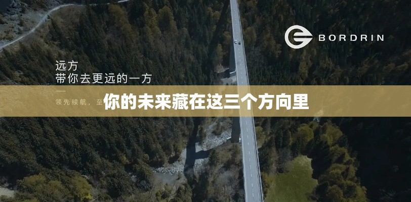 你的未来藏在这三个方向里