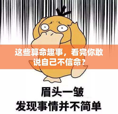 这些算命趣事，看完你敢说自己不信命？