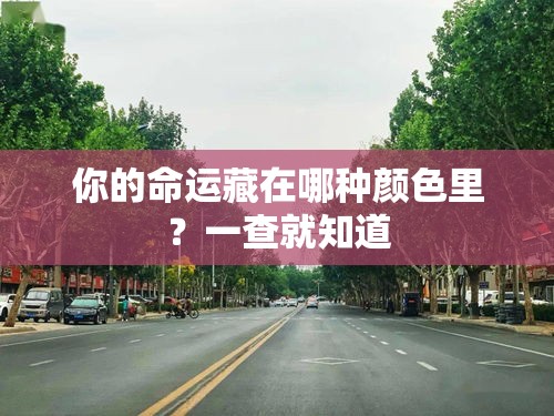 你的命运藏在哪种颜色里？一查就知道