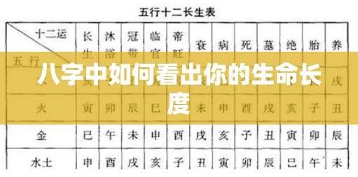 八字中如何看出你的生命长度