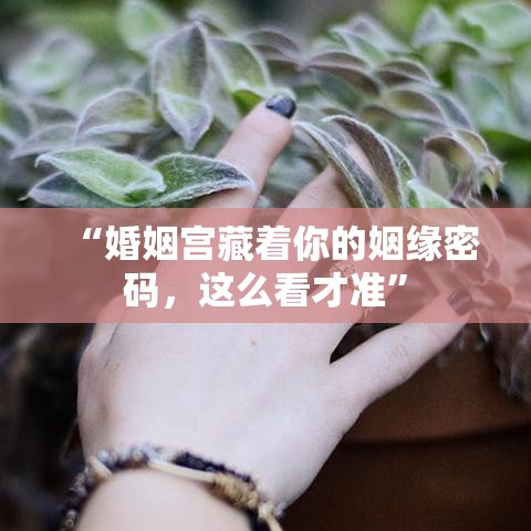 “婚姻宫藏着你的姻缘密码，这么看才准”