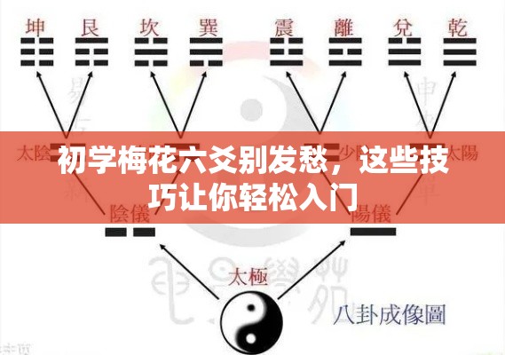 初学梅花六爻别发愁，这些技巧让你轻松入门