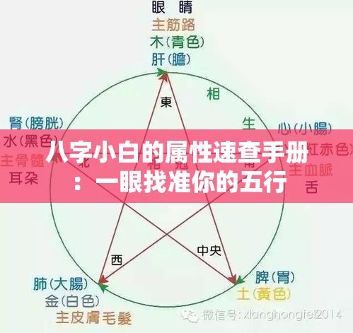八字小白的属性速查手册：一眼找准你的五行