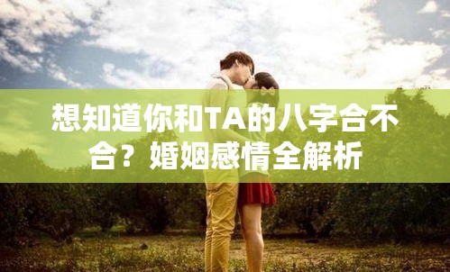 想知道你和TA的八字合不合？婚姻感情全解析