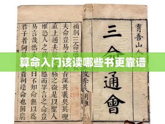 算命入门该读哪些书更靠谱