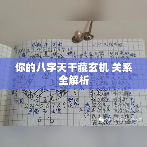你的八字天干藏玄机 关系全解析
