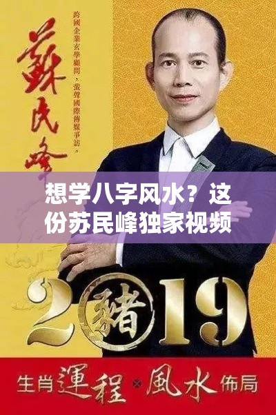 想学八字风水？这份苏民峰独家视频资源别错过