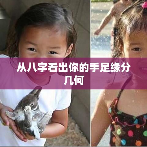 从八字看出你的手足缘分几何