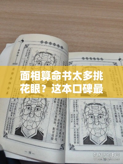 面相算命书太多挑花眼？这本口碑最好