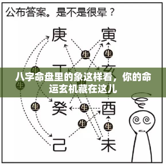 八字命盘里的象这样看，你的命运玄机藏在这儿