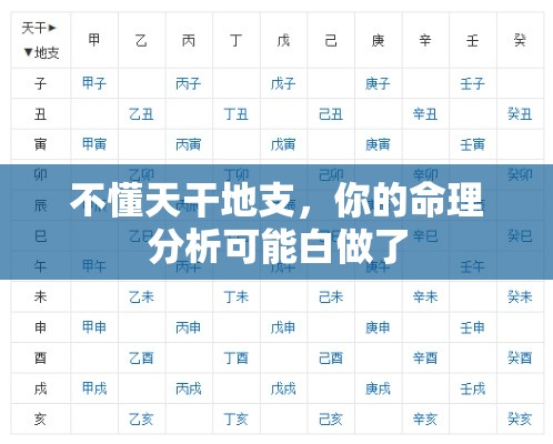 不懂天干地支，你的命理分析可能白做了