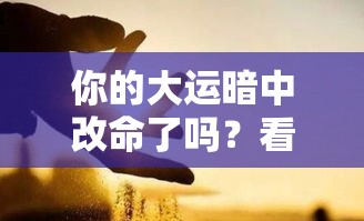 你的大运暗中改命了吗？看懂运势走向不再迷茫