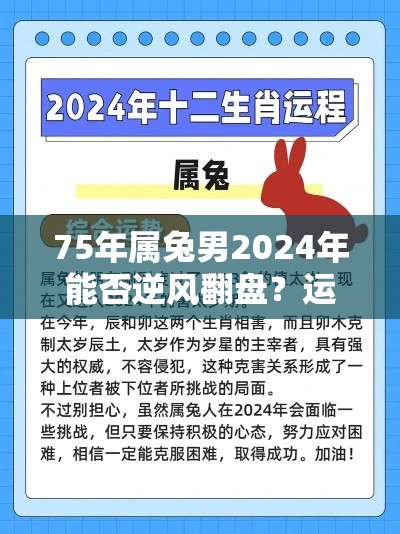 75年属兔男2024年能否逆风翻盘？运势全解析