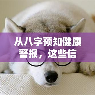 从八字预知健康警报，这些信号别大意